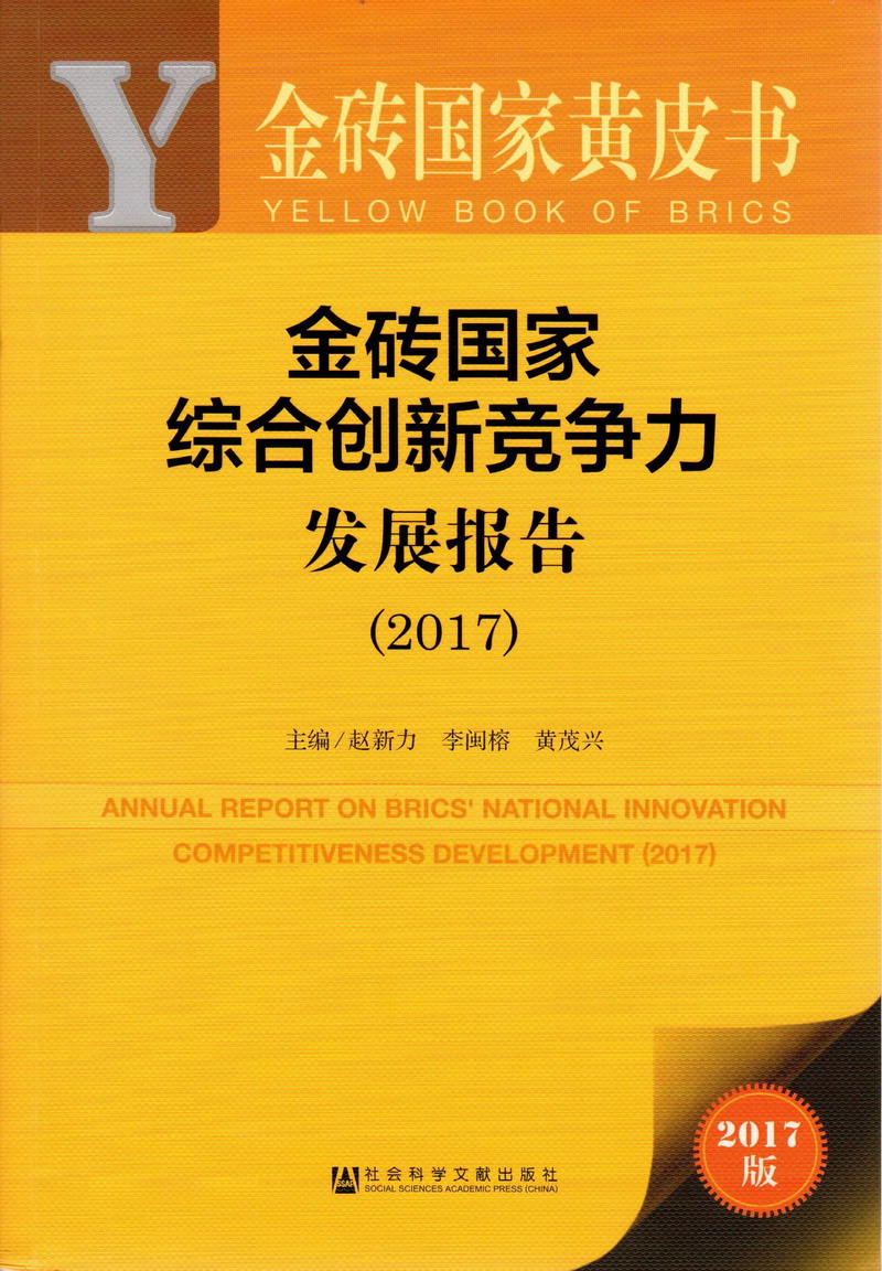 操逼点进即看的网页金砖国家综合创新竞争力发展报告（2017）